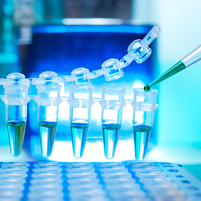 探究反應型發(fā)泡催化劑對聚氨酯硬泡閉孔率和熱導率的影響