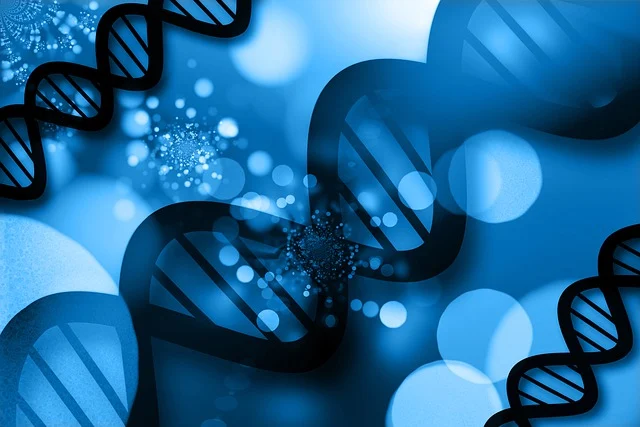 雙(二甲氨基丙基)異丙醇胺在汽車座椅、內(nèi)飾件和床墊制造中的應用